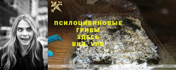 герыч Арсеньев