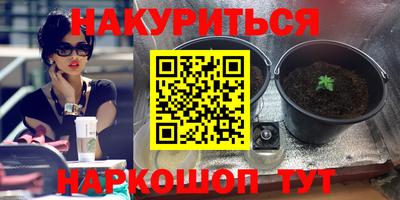 стафф Кулебаки