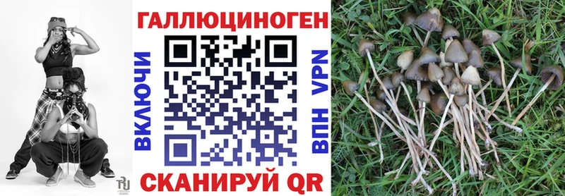 Псилоцибиновые грибы мицелий  Коломна 