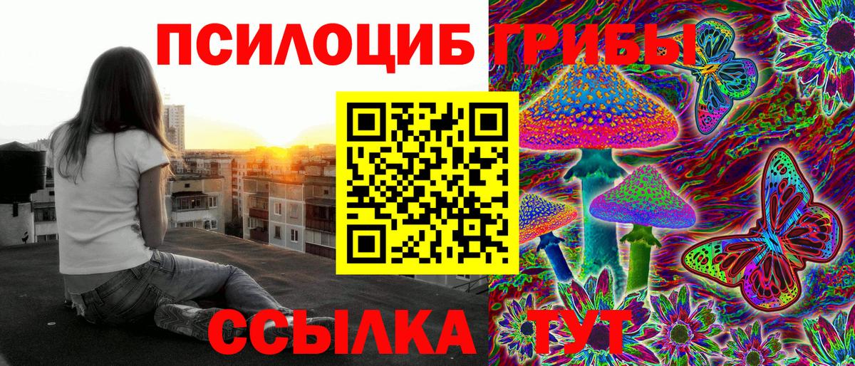 Псилоцибиновые грибы MAGIC MUSHROOMS  Галлюциногенные грибы мицелий  Коломна  Вход с VPN 